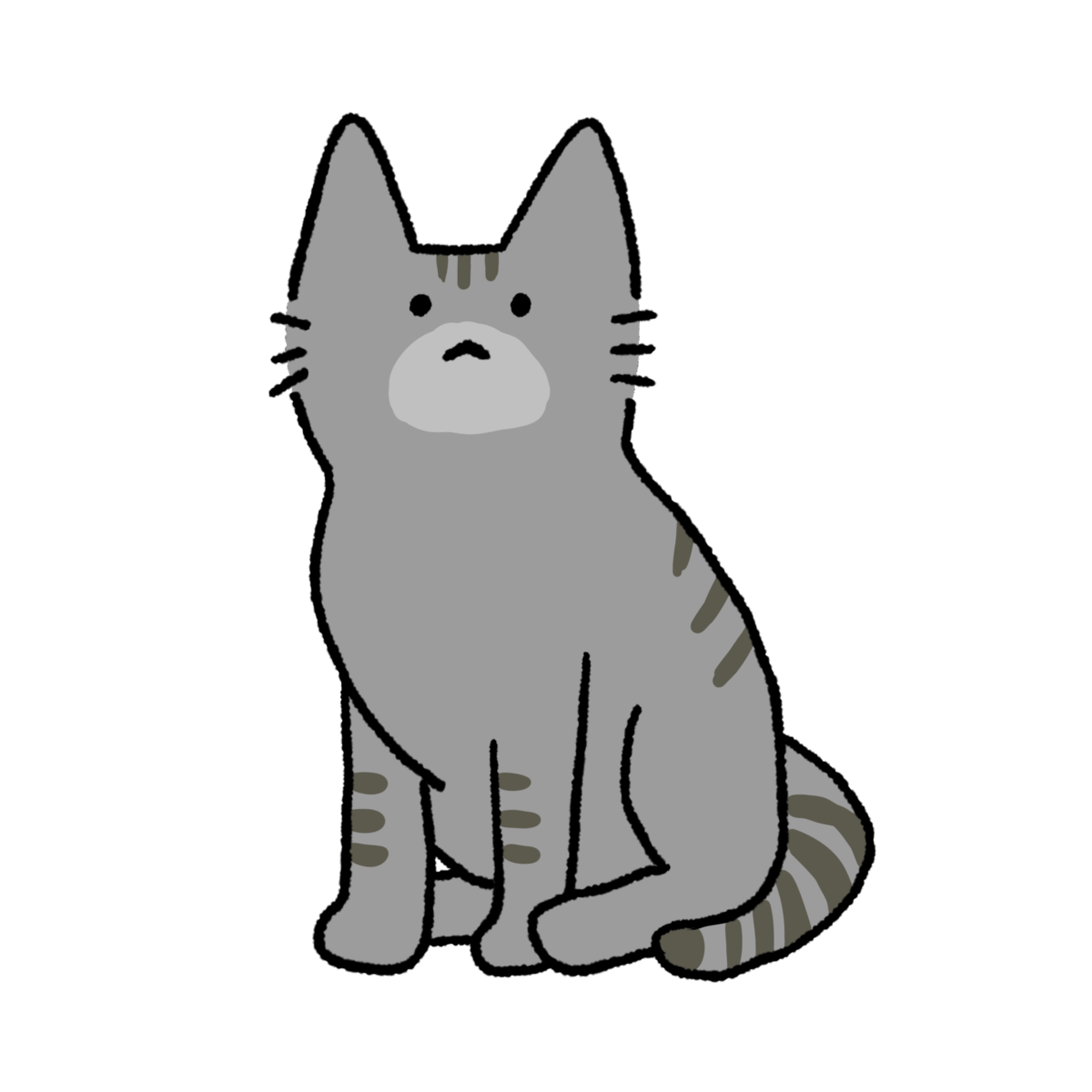 猫 -サバ-