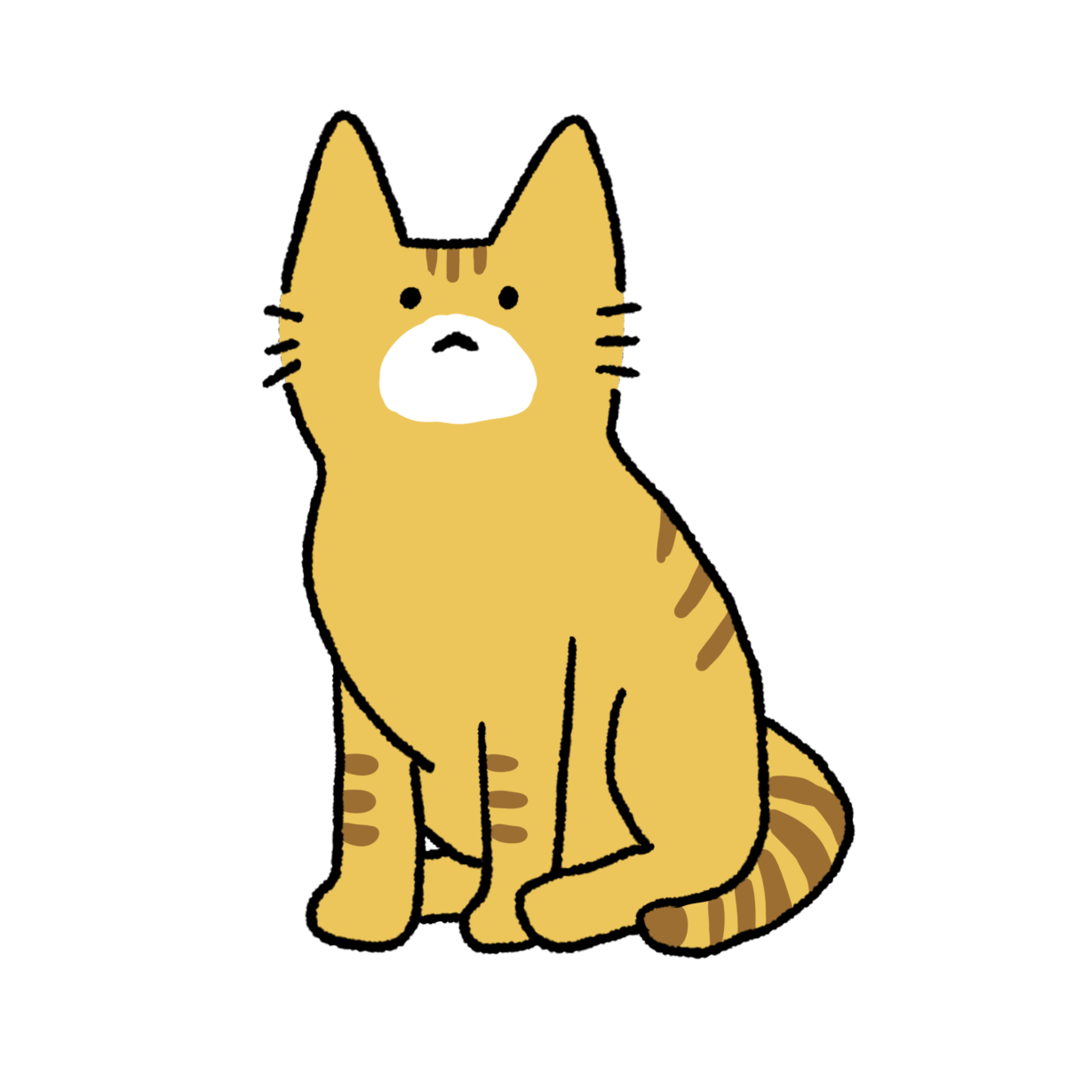 猫 -茶トラ-